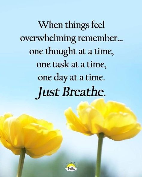 Now Quotes, Hug Quotes, Thankful Grateful Blessed, One Day At A Time, Morning Friends, Good Morning Friends, Just Breathe, Lesson Quotes, Inspirational Thoughts