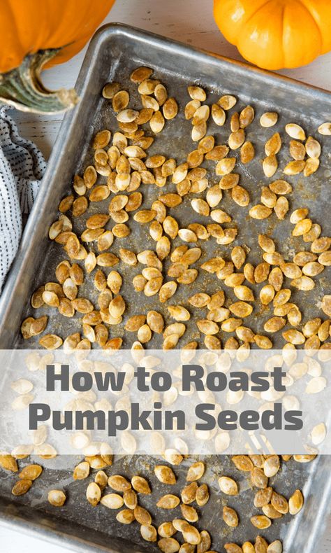 Oven Roasted Pumpkin Seeds, Maple Roasted Pumpkin Seeds, Cinnamon Sugar Pumpkin Seeds, Best Pumpkin Seed Recipe, Savory Pumpkin Seeds, Pumpkin Seed Recipes Roasted, Spicy Roasted Pumpkin Seeds, Perfect Pumpkin Seeds, Homemade Pumpkin Seeds