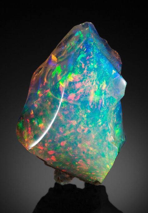 ✧ on Twitter: "various types of opals… " Humboldt County, Nevada Usa, Precious Opal, Pretty Rocks, Beautiful Rocks, Spring Jewelry, Mineral Stone, Minerals And Gemstones, Rocks And Gems