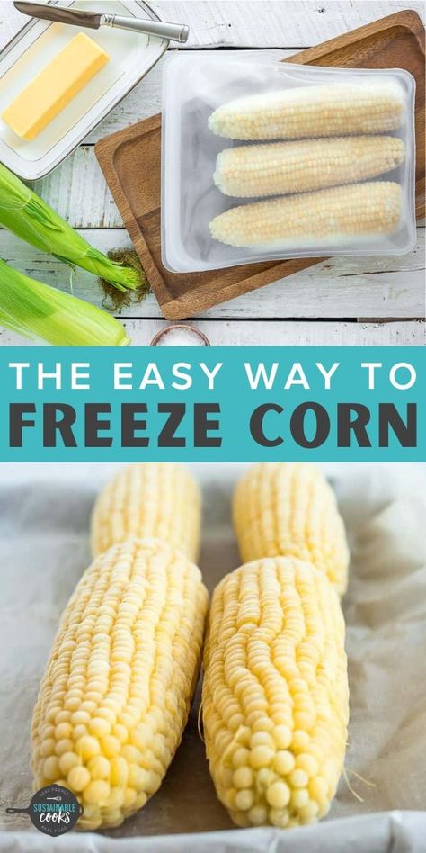 Freezing corn on the cob is the easiest way to preserve the delicious taste of summer. Learn how to freeze corn on the cob for fast healthy side dishes that you can enjoy all year long. Vacuum Seal Corn On The Cob, Blanching Corn, Freezing Corn On The Cob, Best Corn On The Cob, Frozen Corn Recipes, Freezing Fresh Corn, Freezing Food Guide, Freezing Veggies, Freezing Corn