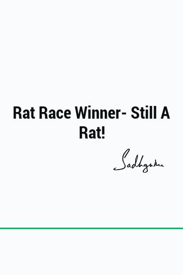 Rat Race Winner- Still A Rat!    #funny #short #truth Rat Race Quotes, Rat Funny, Race Quotes, Witty One Liners, Spirit Soul, A Rat, Rat Race, Perspective On Life, Witty Quotes