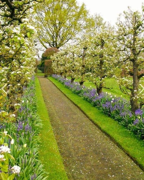 Hedges Landscaping, Espalier Fruit Trees, Country Garden Design, Have Inspiration, Formal Gardens, Garden Pathway, Gorgeous Gardens, The Secret Garden, Country Gardening