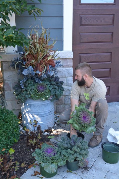 Fall Potted Plants, Front Porch Planter Ideas, Front Porch Planter, Shade Plants Container, Porch Planter Ideas, Fall Container Plants, Porch Planter, Fall Pots, Porch Pots