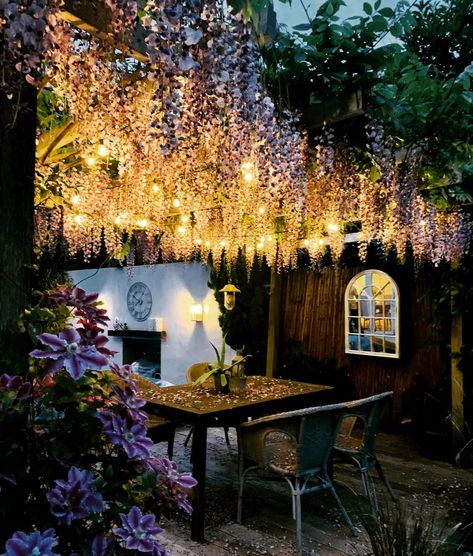 Pergola With Lights, Wisteria Arbor, Wisteria Pergola, White Wisteria, Pergola Lighting, Festoon Lighting, Wisteria, Arbor, Room Inspo