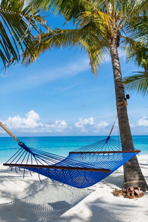 Find yourself in a hammock gently swaying under the palm trees. Zuri Zanzibar, Zanzibar Hotels, Hammock Beach, Hotel Beach, Beach Hammock, Luxury Suites, Beach Cafe, Exotic Places, Tropical Getaways