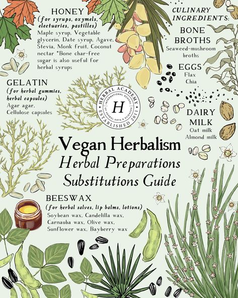 Vegan Herbalism: How to Find Alternatives to Honey, Beeswax, and More | Herbal Academy | For those who adhere to a vegan lifestyle, vegan herbalism means understanding animal-free ingredients to use in common herbal preparations. Vegan Homesteading, Herbalist Aesthetic, Herbalism For Beginners, Latin Spells, Honey Alternative, Herbal Preparations, Earth Medicine, Herbal Academy, Herbal Education