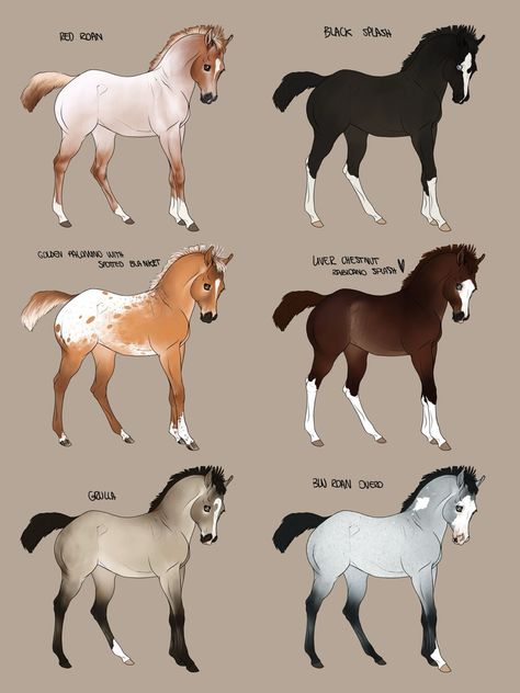 First Day Of February, Horse Markings, Horse Coat Colors, Horse Facts, Horse Sketch, Horse Anatomy, Image Chat, Horse Drawing, Horse Drawings