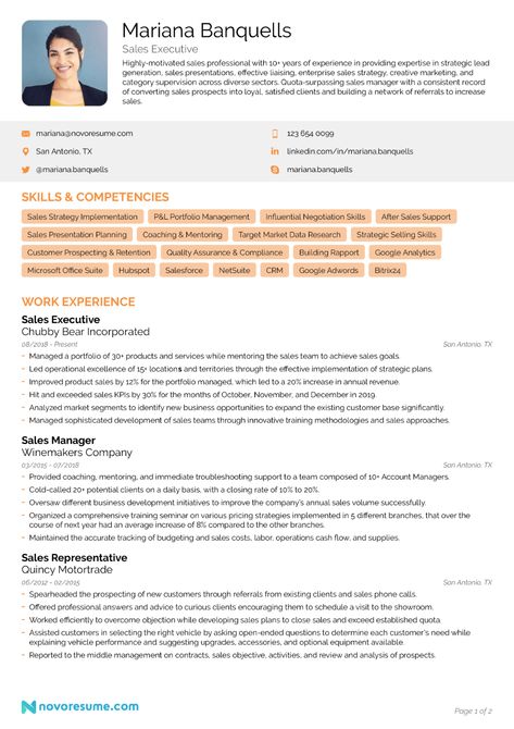 Sales Resume Examples, Resume Summary Examples, Sales Resume, Resume Summary, Sales Skills, Functional Resume, Cv Examples, Writing Guide, Student Resume