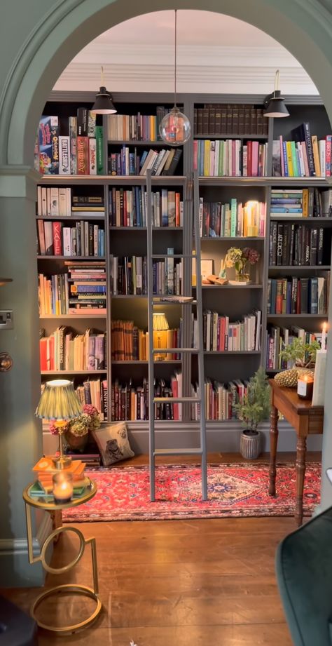 Cozy Bookish Living Room, Bookstagram Shelves, Creative Accent Wall Ideas, Creative Accent Wall, Dream Home Library, Bookish Decor, Home Library Decor, Cozy Home Library, Bookshelf Aesthetic