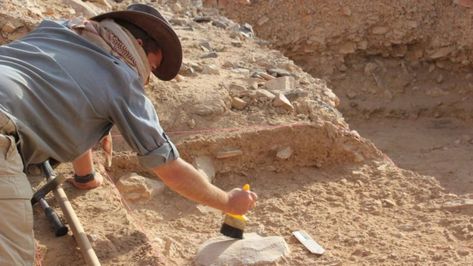 New Research Shows How Primitive Humans Got Extinct Due to Laziness Homo Erectus, Extinct Species, Australian National University, Archaeology News, Early Humans, Manifestation Board, Making Tools, Dream Job, Ancient History