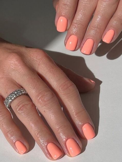 2024 Trending Summer Peach Nails: Pastel, Coral Glitter Designs for Short & Almond Shapes Summer Nail 2024 Trends Orange, Coral Pink Nail Polish, Summer 2024 Manicure, Manicure Ideas For Short Nails Summer, Spring Dip Nails 2024 Trends, Summer Nails Colors 2024, 2024 Dip Nail Trends, Orange Summer Nails 2024, Pastel Coral Nails