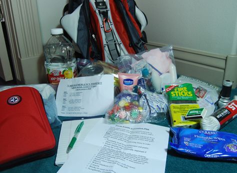 Go Bag Emergency, 72 Hour Kit, Wilderness Survival Shelter, Emergency Evacuation Plan, Provident Living, Evacuation Plan, 72 Hour Kits, Emergency Evacuation, Go Bag