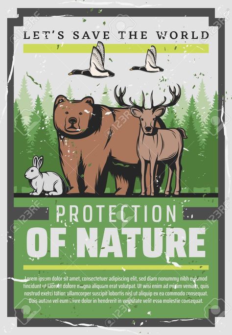 Conservation Of Nature Poster, Save Animals Poster Drawing, Save Forest Poster, Poster On Wildlife Conservation, Save Wildlife Poster, World Animal Day Poster, Wildlife Conservation Poster, Animal Protection Poster, Save Animals Poster