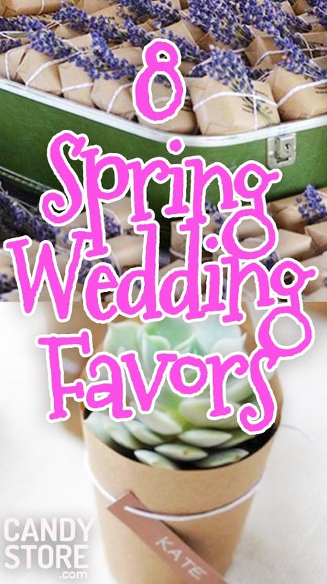 Spring Wedding Favors Spring Wedding Favor Ideas, Spring Party Favors For Women, Table Favors For Spring Luncheon, Spring Wedding Favors For Guests, Bridal Shower Guest Gifts, Spring Party Favors, Spring Bridal Shower Favors, Prom Favors, The Birds And The Bees