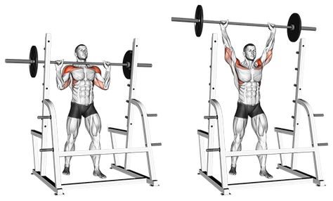 Standing Overhead Barbell Press Standing Overhead Press, Exercises Back, Barbell Press, Chest Exercises, Shoulder Exercises, Chest Press, Military Press, Body Coach, Barbell Workout