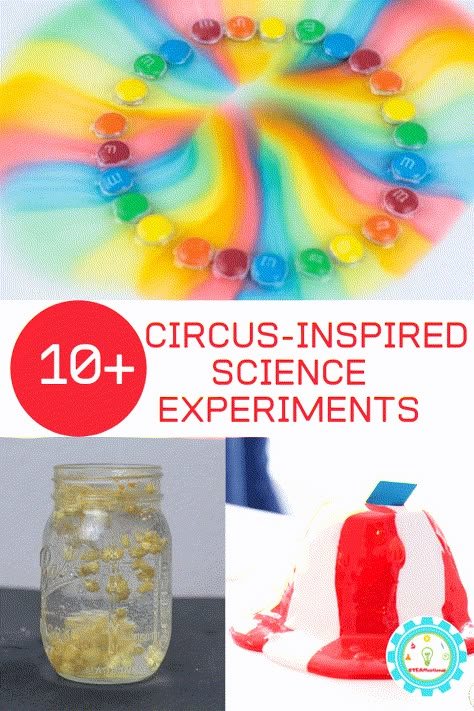 If you love the circus and science, then you'll have a blast trying out these circus science experiments. Kids will love the circus science activities! Circus Science, Circus Theme Preschool Activities, Circus Preschool, Circus Week, Preschool Circus, Candy Science Experiments, Circus Activities, Carnival Activities, Circus Crafts