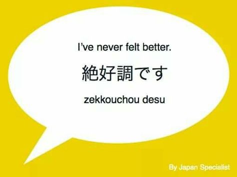 #learnjapanese Japanese Lines, Studying Japanese, Japan Language, Japanese Lessons, Travel Phrases, Basic Japanese, Japanese Language Lessons, Basic Japanese Words, Learn Japanese Words