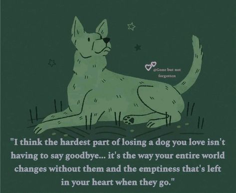 Losing A Pet Quotes, Dog Heaven Quotes, Miss My Dog, Pet Quotes, Dog Quotes Love, Dog Heaven, Pet Remembrance, Yorkie Dogs, Pet Sympathy