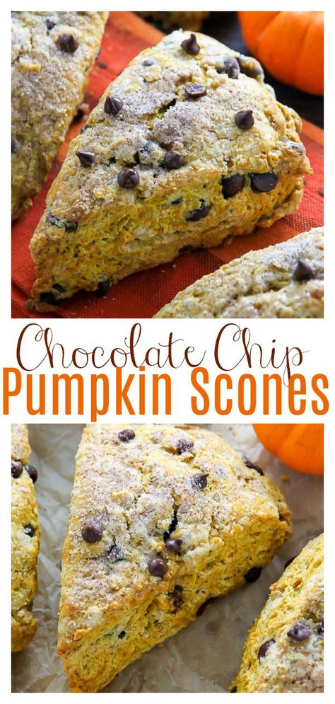 Scones Chocolate, Easy Scone, Chocolate Chip Scones, Baker By Nature, Scones Recipe Easy, Scones Easy, Fall Baking Recipes, Pumpkin Scones, Pumpkin Chocolate Chip