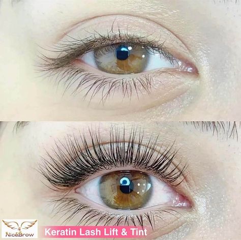 Keratin Lash Lift - Everything You Need to Know Lash Tint And Lift, Types Of Eyelash Extensions, Eyelash Lift And Tint, Keratin Lash Lift, Semi Permanent Lashes, Long Lashes Mascara, Evening Eye Makeup, Eyelash Tinting, Lash Tint