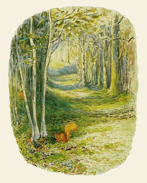 Beatrix Potter "Squirrel Nutkin" 1903 background study | Flickr Peter The Rabbit, Squirrel Nutkin, Beatrix Potter Illustrations, Background Study, Children's Stories, Storybook Art, Potter Art, Ink And Watercolor, Rabbit Art