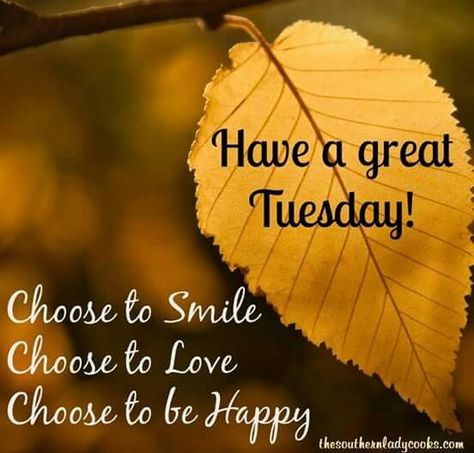 Monday Sayings, Tuesday Quotes Good Morning, Tuesday Greetings, Tuesday Images, Motivation Funny, Bon Mardi, Happy Tuesday Quotes, Good Morning Tuesday, Morning Memes