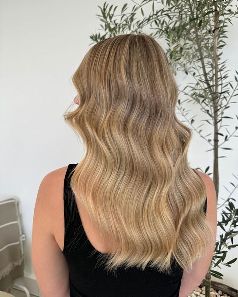 Looking for the perfect sun kissed hair inspo for the summer? Don’t worry, we’ve got you covered 🌞 Book your summer hair transformation via the link in our bio 🤍 #hairrevamp #hairtransformations #hairgoalsperth #balayageperth #geraldtonsalon #perthsalon Surfer Blonde Hair, Surfer Blonde, Sun Kissed Hair, Blonde Hair Inspiration, Summer Hair, Hair Transformation, Sun Kissed, Summer Hairstyles, Hair Goals