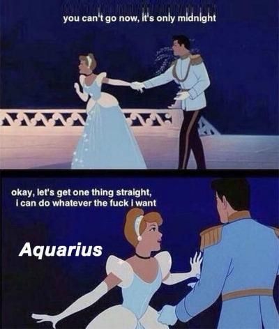 50 Best Aquarius Memes That Describe This Zodiac Sign | YourTango Memes