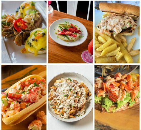 36 Leftover Lobster Recipes [With Pasta & More] Leftover Lobster Recipes, Leftover Lobster, Recipes With Pasta, Frozen Lobster, Lobster Recipes Tail, Lobster Salad, Bisque Recipe, How To Cook Lobster, Lobster Meat