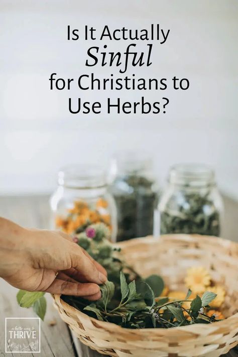 Herbalism seems to be rooted in pagan practices and cultures. Can someone be a Christian herbalist or use herbal remedies without sinning? An herbalist weighs in on what the Bible really says about herbs. via @abttrway2thrive Medicinal Herbs For Beginners, Herbs For Beginner Herbalist, Christian Homesteading, Beginner Herbalist, Christian Herbalist, Herbalism For Beginners, Herbalist Kitchen, Herbalist Recipes, Herb Guide