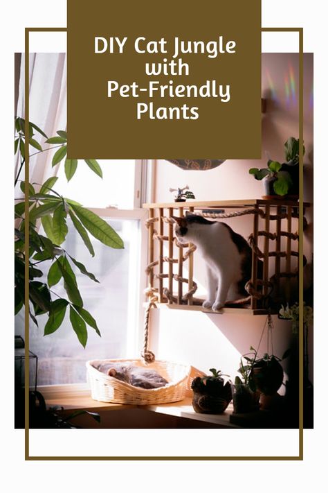 Discover the art of creating a DIY cat jungle with pet-friendly plants 🌸✨! Give your feline friend an enchanting environment to play, explore, and relax. You're just one click away from a happier, healthier cat. 😺💚 Watch my video now! 🎥 Cat Jungle Gym Wall, Cat Shelf Wall, Cat Jungle Gym, Diy Cat Shelves, Cat Jungle, Cat Safe Plants, Cat Bedroom, Jungle Design, Cat Gym