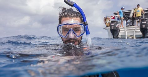 ✨ Protective hairstyles for diving ✨ How to keep your hair moisturized and nourished ✨ Dealing with pesky hair tangles and knots ✨ Tips for preventing hair breakage and damage Click the link to learn how to avoid hair related issues when diving! 🔗 How To Braid Hair, Face Lace, How To Braid, Pigtail Braids, Two Braids, Diving Gear, Hair Healthy, Wide Tooth Comb, Braid Hair