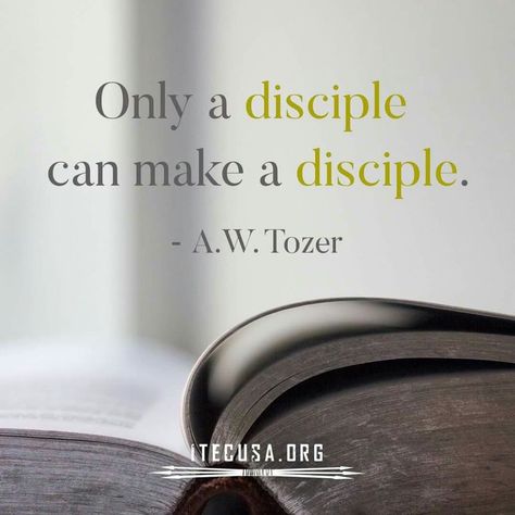 Discipleship 101 www.inchristiamshe.com Discipleship Quotes, Aw Tozer Quotes, Bible Study Fellowship, Bible Study Materials, Doers Of The Word, God Speaks, The Great I Am, Bible Study Help, Godly Men