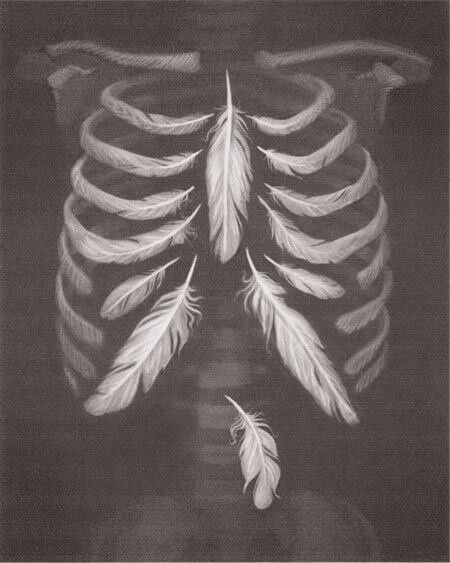 Feather ribcage. Interesting surrealistic idea. Heart Anatomical, Super Tattoo, Tattoo Heart, Art Et Illustration, Art And Illustration, Anatomy Art, Pics Art, Rib Cage, Gotham