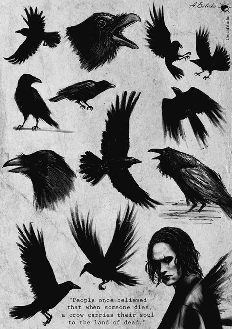 Nyx Tattoo, Black Crow Tattoos, Tattoo Crane, Rabe Tattoo, Crow Images, Crows Drawing, Crow Tattoo Design, Crow Movie, Tattoo Bird