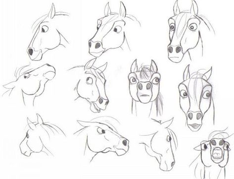 Horse Expressions, Face Expressions Drawing, Funny Face Expressions, Horse Face Drawing, Horse Faces, Funny Face Drawings, Expressions Drawing, Drawing Horses, Horse Art Drawing