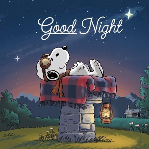 Snoopy Rain, Snoopy Happy Tuesday, Snoopy Good Night Sweet Dreams, Snoopy Good Night, Charlie Brown Cartoon, Peanuts Thanksgiving, Snoopy Drawing, Weekend Greetings, Good Morning Snoopy