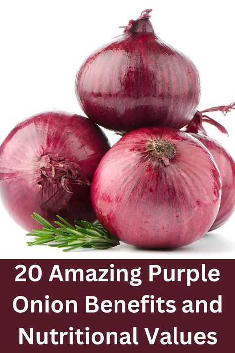 The health benefits of purple onions, also referred to as red onions, are numerous, and this is the subject of our discussion today. Although onions are among the vegetables we purchase from the market, few people are aware of their potential health benefits. Red Onion Benefits, Onion Benefits, Onion Benefits Health, Food For Kidney Health, Vegetable Benefits, Purple Onion, Food Health Benefits, Reduce Body Fat, Kidney Health