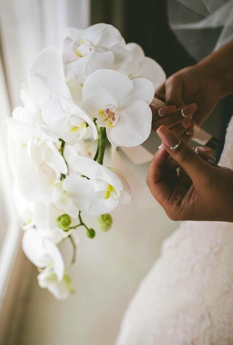 30 Beautiful Single-Stem Wedding Bouquets | Wedding Forward Single Stem Orchid Bouquet, Small White Orchid Bouquet, Single Stem Wedding Bouquet, Simple Orchid Bouquet, Small Orchid Bouquet, Nikah Bouquet, Single Stem Bridesmaid Bouquet, Single Stem Bouquet, Wedding Bouquets Ideas