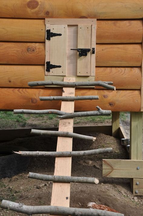 DIY Natural Stick Chicken Coop Ladder - for access to the coop or roost, perfect for any coop... #chickens #homestead #homesteading Stick Chicken Coop, Chicken Coop Ladder, Chicken Ladder, Urban Chicken Farming, Portable Chicken Coop, Chicken Pen, Urban Chickens, Coop Design, Best Chicken Coop