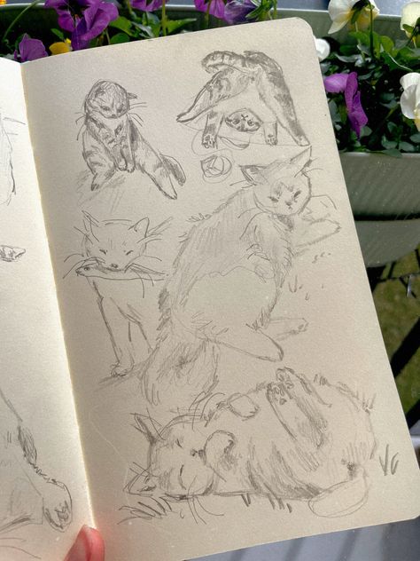 cats sketches sketchbook doodles Welcome Page Sketchbook, Sketchbook Welcome Page, Welcome To My Sketchbook Page Ideas, Welcome To My Sketchbook, Tutorials Drawing, Cat Pose, My Sketchbook, Sketchbook Pages, Lovely Day