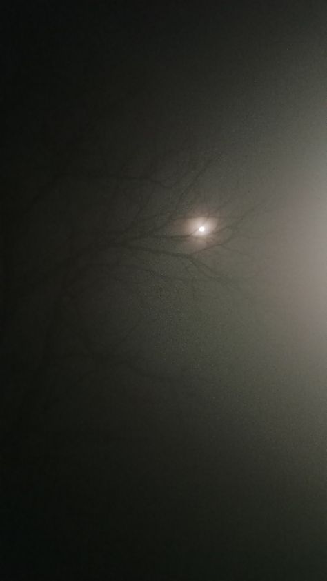 Foggy Nights Aesthetic, Foggie Raw, Night Fog Aesthetic, Fogy Night, Foggy Night Aesthetic, Fog Images, Foggy Night, Bright Moon, Foggy Weather