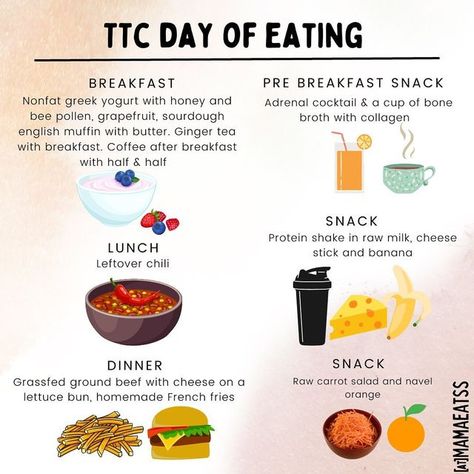 Metabolism, Hormones & TTC Nutrition on Instagram: "This is an example of a balanced day including macrobalanced meals and snacks! This was exactly what I ate yesterday! I try to keep my calories from 2000-2300. Each day varies sometimes a little higher and sometimes a bit lower. You will NEVER see me eating 1200 calories though because I know the importance of keeping my body nourished and safe. Ain’t no one got time for running on stress hormones and sabotaging my hormones! I’m am TTC an Ttc Meals, Ttc Nutrition, Adrenal Cocktail, Prenatal Nutrition, Homemade French Fries, Fertility Health, Raw Carrots, Nonfat Greek Yogurt, Polycystic Ovarian Syndrome