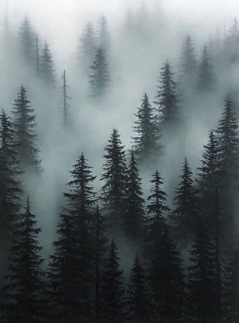 Foggy Forest Tattoo, Forest Fog Painting, Foggy Mountain Aesthetic, Foggy Forest Painting, Forest Tattoos, Foggy Forest, Canvas Sizes, Misty Forest, Extra Large Canvas