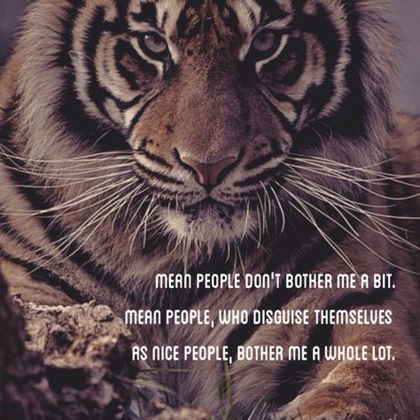 Mean people don't bother me a bit. Mean people, who disguise themselves as nice people, bother me a whole lot. Don't Bother Me, Star Seed, Lion Quotes, Nice People, Mean People, Empath, True Words, Good People, Affirmations