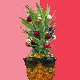 Pineapple-Christmas-Tree Pineapple Christmas Tree, Pineapple Xmas Tree, Pineapple Top Christmas Tree, Christmas Pineapple, Pineapple Christmas Tree Ornaments, Types Of Houses Styles, Pineapple Christmas, Holiday Soiree, Eating Alone