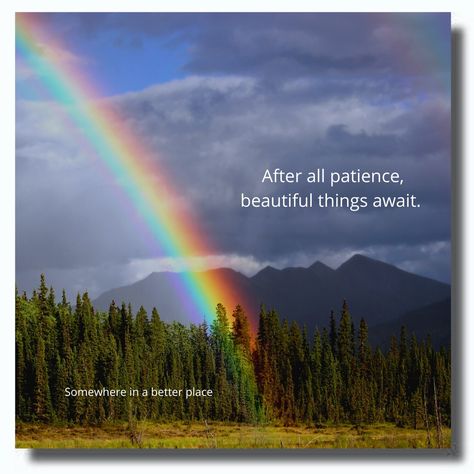 After All Patience Beautiful Things, Ramadan 2024, Beautiful Things, Ramadan, Quotes