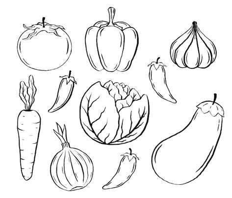 Vegetable Sketch Drawing, How To Draw Fruits And Vegetables, Vegetable Outline Drawing, Vegetable Design Art, Vegetable Line Art, Vegetable Drawing Simple, How To Draw Vegetables, Veg Drawing, Veggie Drawings