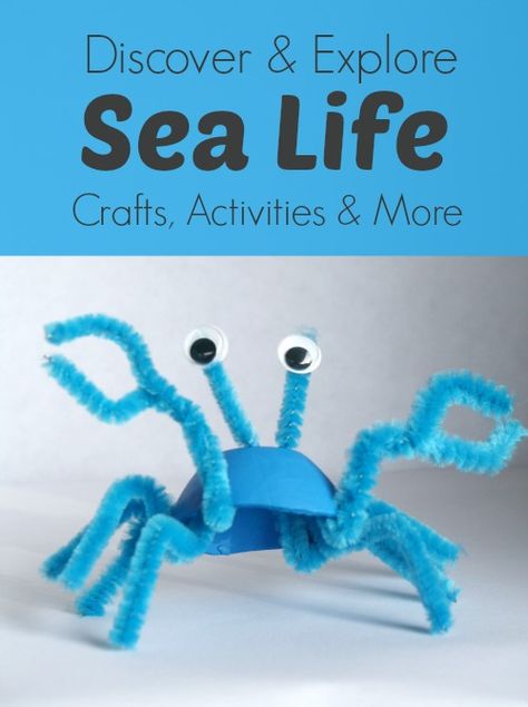 Discover & Explore Sea Life-Crafts Activities and More...Come share your ocean animal posts and see what other fun activities are being shared! Sea Life Crafts, Crab Craft, Carton Craft, Sea Animal Crafts, Crab Crafts, Ocean Unit, Sea Crab, Preschool Craft, Egg Cartons