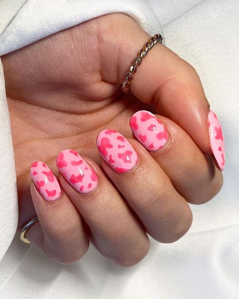 Hot Pink Cowprint Nails, Country Nails Pink, Cowboy Themed Nails, Pink Cowprint Nails Acrylic, Pink Country Nails, Pink Cowboy Nails, Pink Cow Print Nails Acrylic, Hot Pink Cow Print Nails, Pink Cowprint Nails